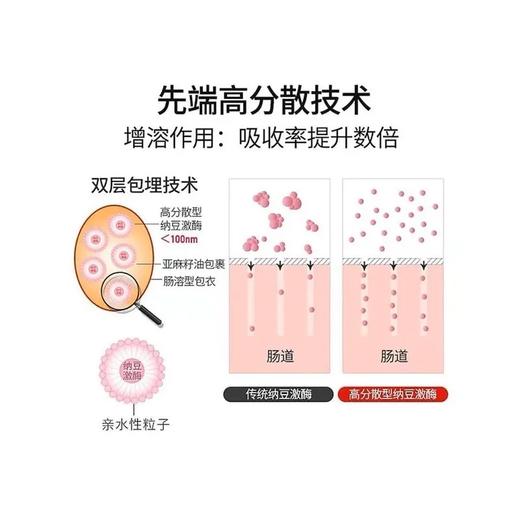 全球购野口Noguchi日本纳豆激酶胶囊 4000FU 120粒  香港直邮 商品图2