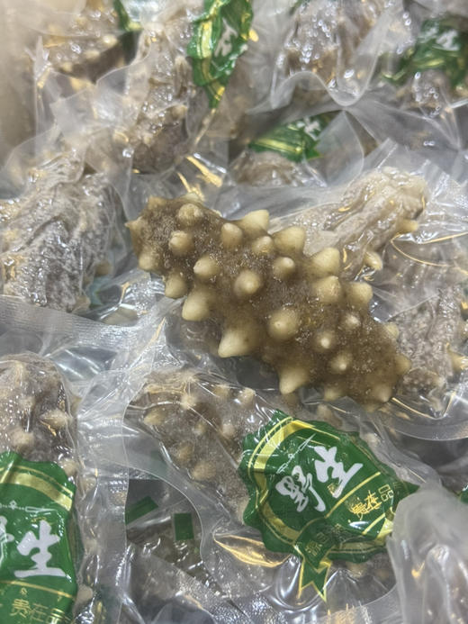 大连长海县鲜食海参 宝宝参（超级少量） 商品图2