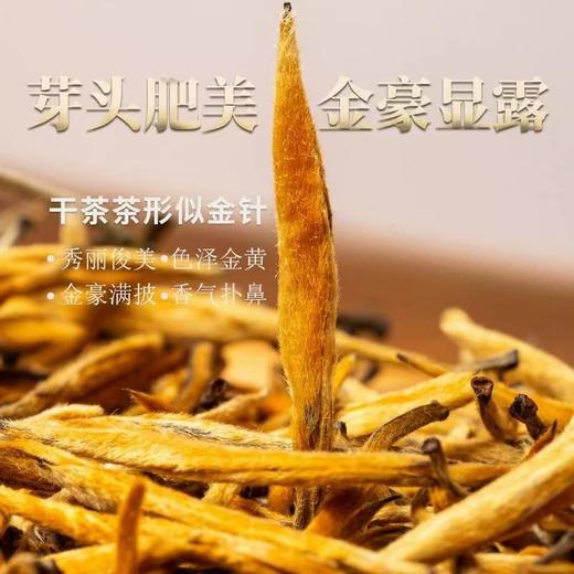 滇红 | 凤宁号 2024年蜜韵大金针 特级品质 花蜜香型 125g/盒 商品图1