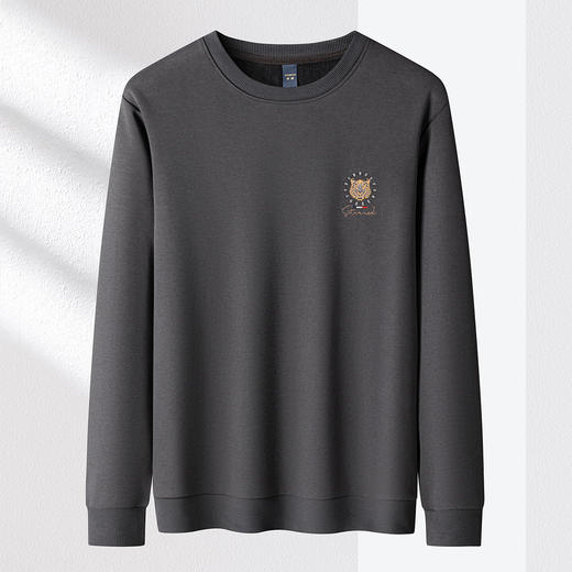 罗蒙男士秋冬加绒加厚卫衣金丝线绣花卫衣男秋冬保暖男上衣休闲百搭 商品图3