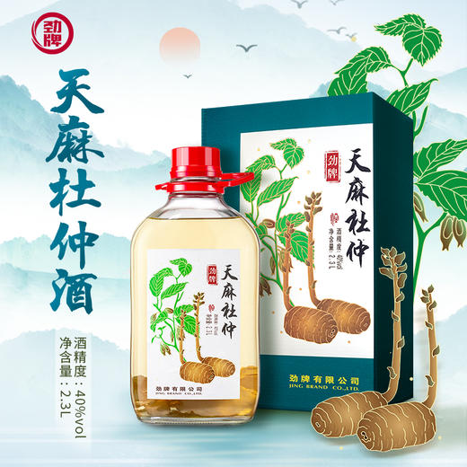 【特色浸泡】2.3L40度劲牌天麻杜仲酒 商品图2