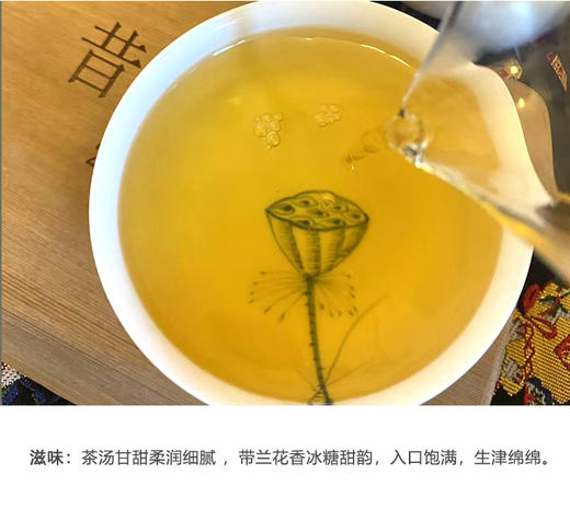 生普 | 2024年昔枝 昔归黄金叶 250g/片 商品图4