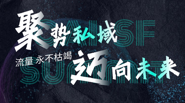 中国首届AI私域流量峰会