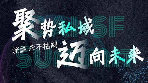 中国首届AI私域流量峰会 商品图0