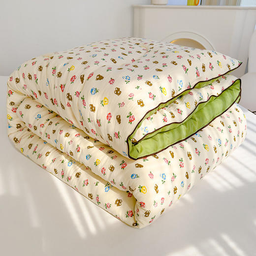 新款A类水洗棉双层纱大豆被春秋被芯冬被 商品图3