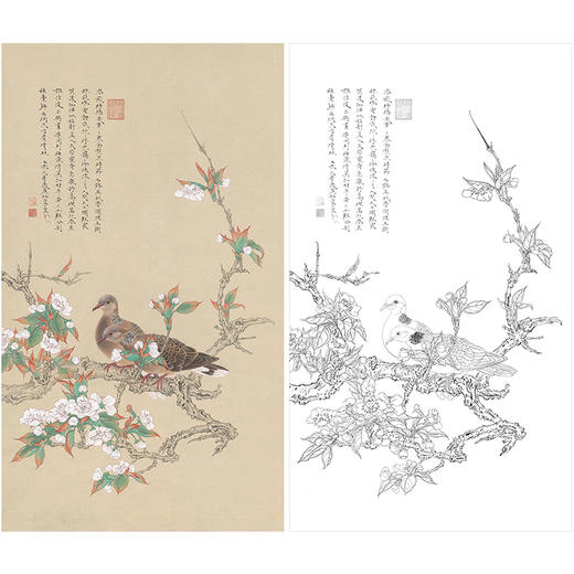 任重花鸟工笔画白描底稿《梨花双鸠》临摹勾线高清打印稿RD21 商品图0