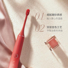 罗曼（ROAMAN）小熊电动牙刷牙医推荐深度清洁净白护龈礼品送男女朋友生日情人节结婚订婚礼物T40小心机桃色