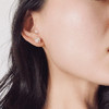 LHWINDSOR 珍珠小葡萄耳钉耳环女气质百搭秋冬耳饰 商品缩略图1