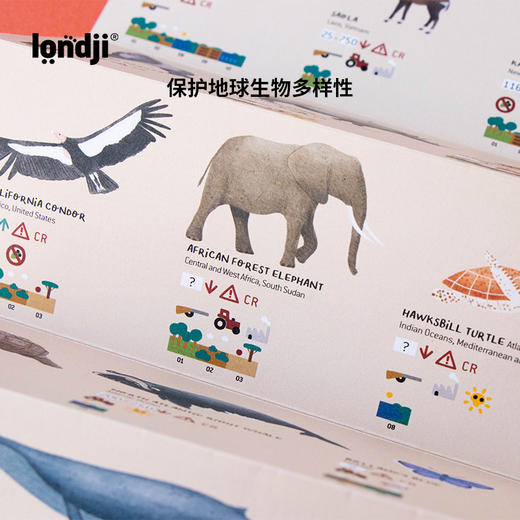 londji 神奇动物 4阶拼图 适合7岁+ 知识科普 保育概念认知 外语读物 西班牙品牌 PZ604U 商品图4