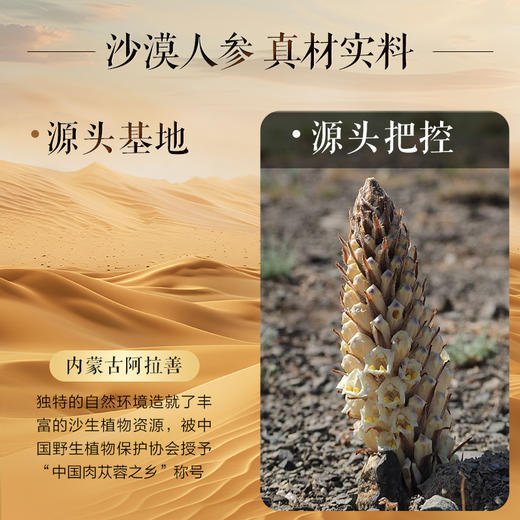 肉苁蓉原浆30ml*10支 商品图5