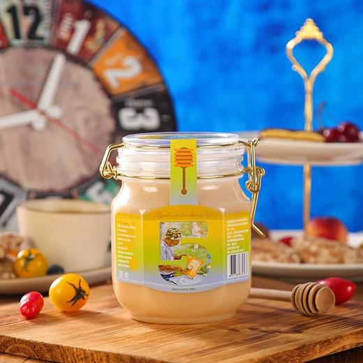 俄罗斯俄蜜源椴树蜜1000g/033721 自然结晶涂抹面包 商品图0