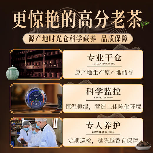 【积分当钱花】澜沧古茶2024年金古木香 云南普洱熟茶散茶罐装100g 商品图1