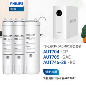  飞利浦（PHILIPS）AUT2011整套三支CP+RO+GAC滤芯组合