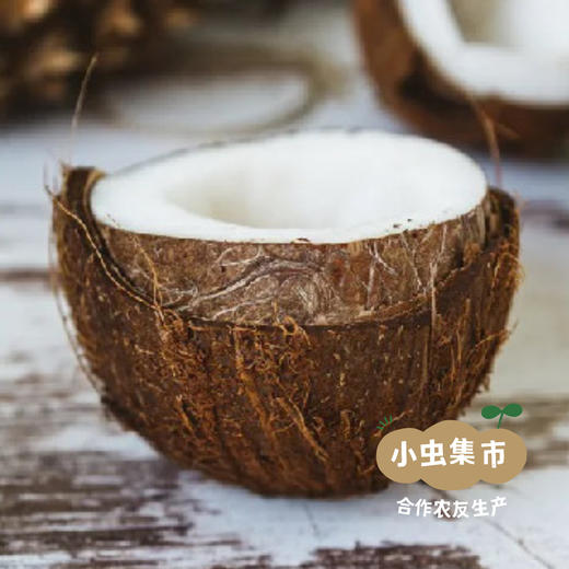 生态柠檬茶树厨用皂液 （洗碗液／洗洁液）600ml | 合作农友生产，来自广东中山五桂山，生产者：郝冠辉 ＆【公平贸易农人定价】 商品图12