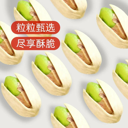 金语开心果108g 商品图3