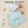N3-【5条装】【男童 】亲肤新疆棉 3D立体剪裁 恐龙乐园+百变小熊【青春系列】 商品缩略图3