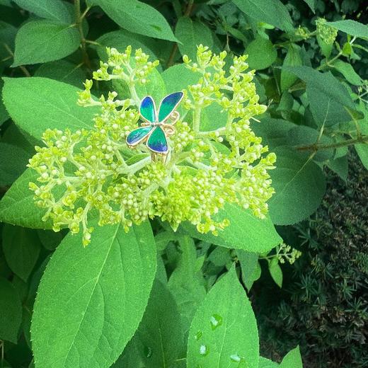 LHWINDSOR 原创设计蝴蝶耳骨夹单只渐变绿色无耳洞耳夹气质饰品 商品图4