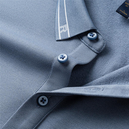 罗蒙男士Polo衫秋冬含羊毛蚕丝保暖双面磨毛polo衫男长袖t恤男 商品图4