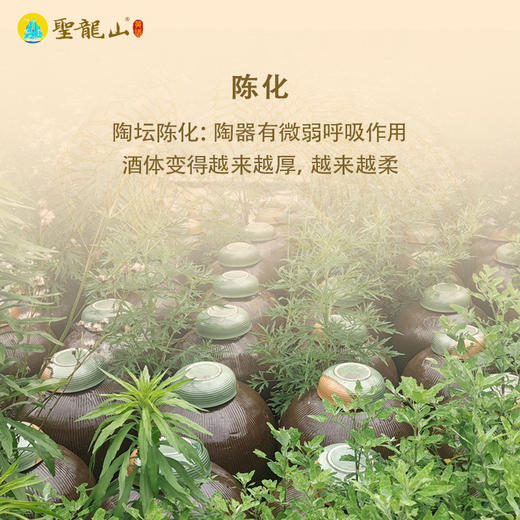 圣龙山12度秫谷黄酒纯粮食自然发酵传统美酒（500ml*6瓶/箱） 商品图4