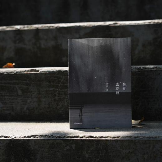 中信出版 | 你们去荒野 商品图2