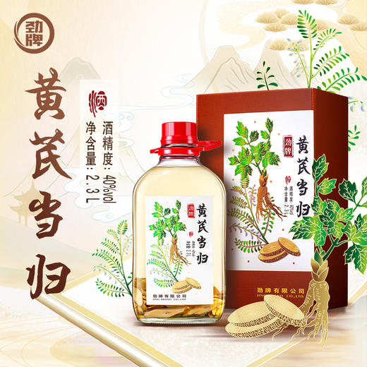 【特色浸泡】2.3L40度劲牌黄芪当归酒 商品图5