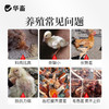 华畜禽健禽用催肥促长 商品缩略图1
