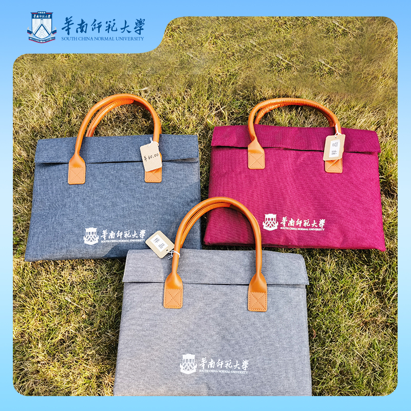 华师定制简约公文包