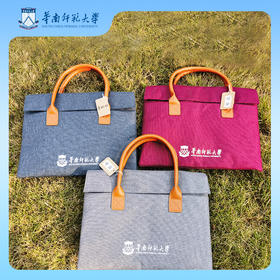华师定制简约公文包