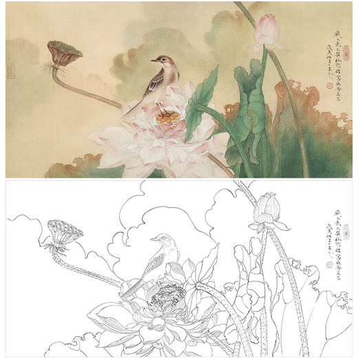 任重花鸟荷花工笔画白描底稿《幽禽菡萏》临摹勾线高清打印稿RD18 商品图0
