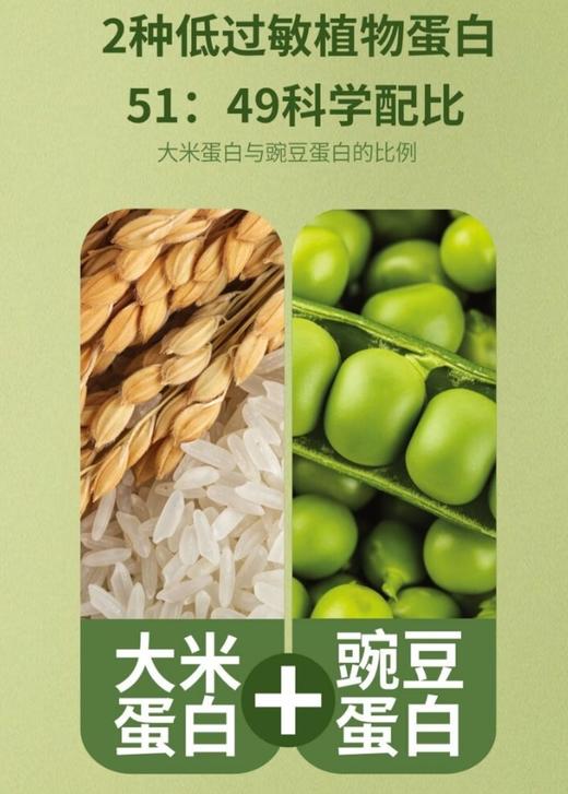 《潘嗲闲逛》稼肴大米豌豆双蛋白 商品图3