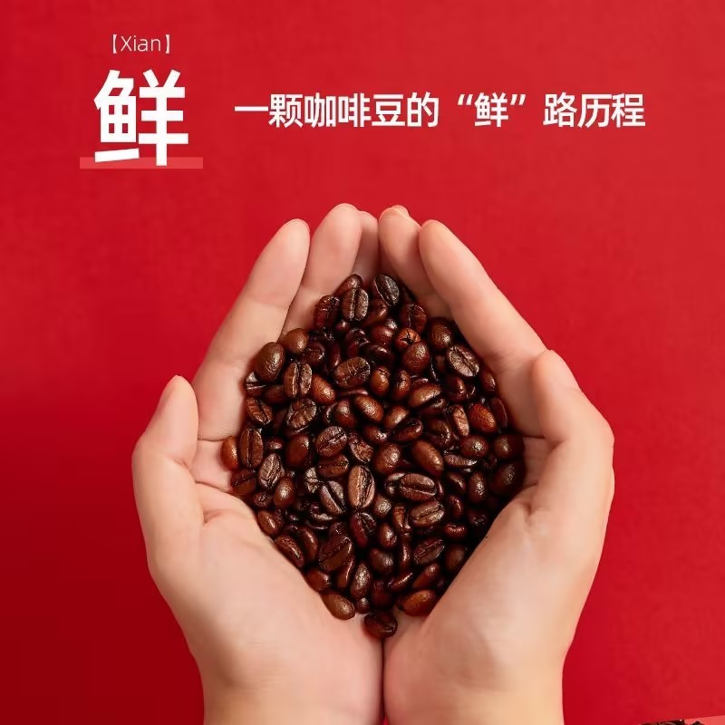 【咖啡豆】隅田川精品咖啡豆炭烧/橘子可可/坚果风味系列 454g/袋