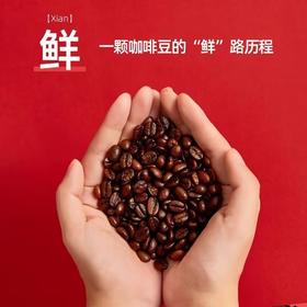 【咖啡豆】隅田川精品咖啡豆炭烧/橘子可可/坚果风味系列 454g/袋