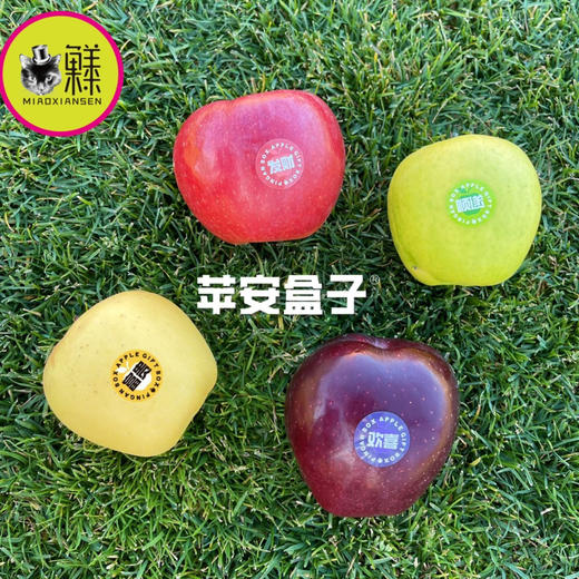 喵菓基地～苹安盒子🍎四色拼装12颗装 商品图5