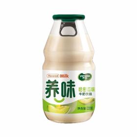 养味哈密瓜味牛奶饮品220g/瓶