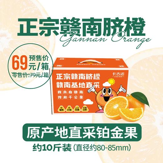 【12月8日提货】正宗赣南脐橙整箱 鲜嫩多汁 产地直采约10斤装 商品图0