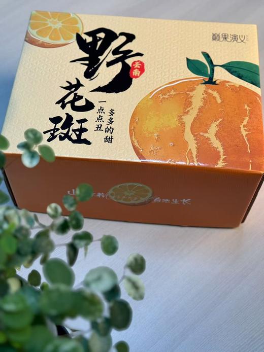 逐南味花斑果4.5斤大果礼盒装（75～85） 商品图0