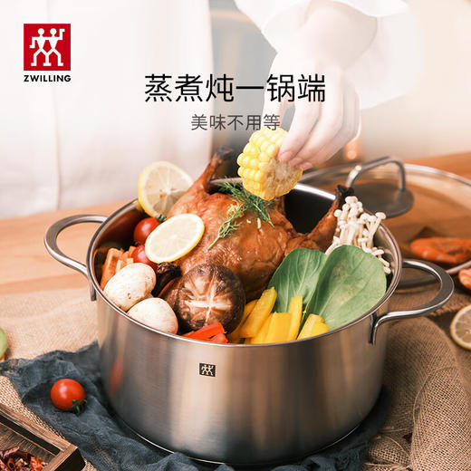 双立人  TWIN Nova Plus汤锅24cm 商品图4