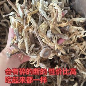 鹿茸菇特价 3袋送2袋 菌菇贵族 原产地道   属于丑菇  特价处理  会有断的碎的 泡发不影响食用