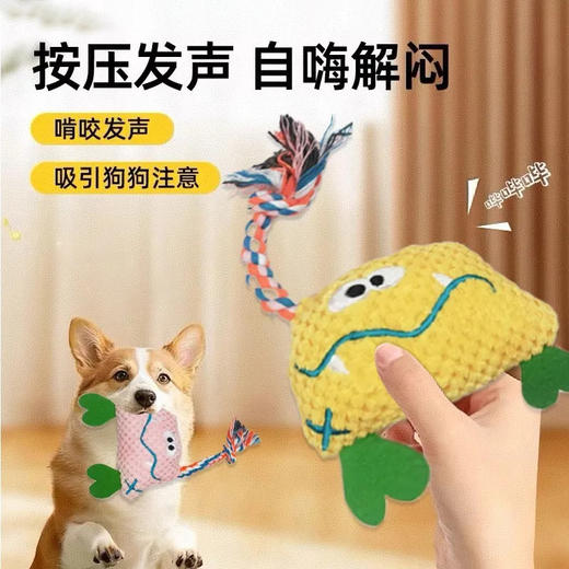 解闷呆萌怪兽狗狗玩具毛绒发声狗玩具磨牙耐咬带绳结颜色随机/个 商品图0