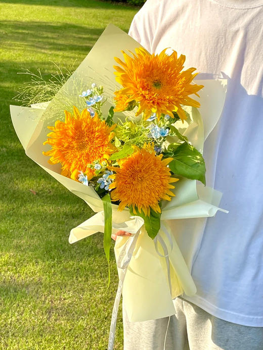 【山野花社】AB级泰迪小花向日葵3支+AB级蓝星花3支+AB级喷泉草2支 商品图4