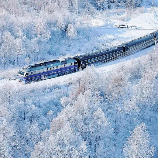 【东北·漠河】5天4晚·雪国列车遇见极光 2人成团（哈尔滨起止 | 马拉爬犁+北红村+北极村+圣诞村+鄂温克驯鹿园+乌苏里浅滩+漠河舞厅） 商品图9