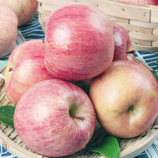 【杨博士甄选】新疆阿克苏冰糖心苹果4.5斤 多仓发货 商品图5