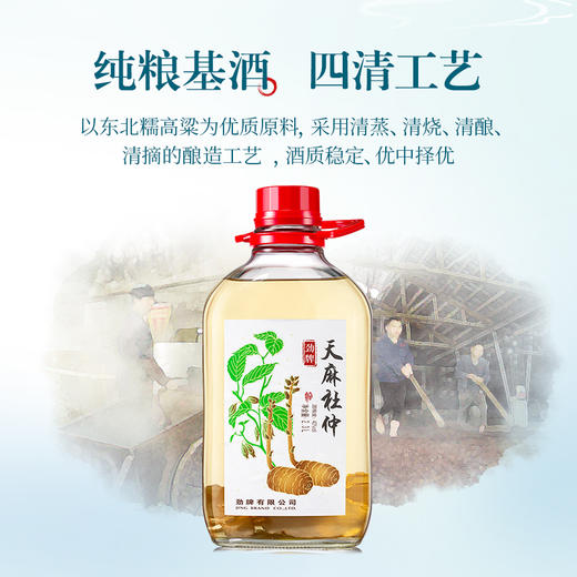 【特色浸泡】2.3L40度劲牌天麻杜仲酒 商品图1