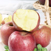 【杨博士甄选】新疆阿克苏冰糖心苹果4.5斤 多仓发货 商品缩略图6