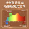 立式大路灯】琪朗立式儿童学习读写灯丨阅读台灯丨全光谱丨钢琴大路灯promax 商品缩略图2