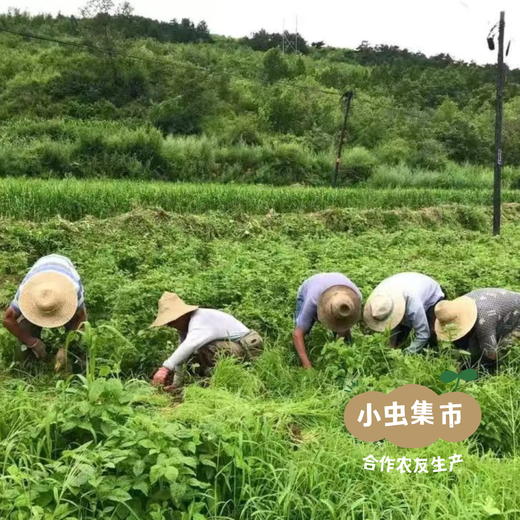 有机双青豆豆腐皮 150g/袋 | 合作农友生产，来自河北承德，生产者：姚计峰 *【公平贸易农人定价】 商品图11