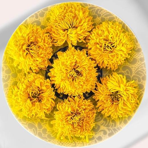 皇菊菊花茶花草茶20g 商品图1