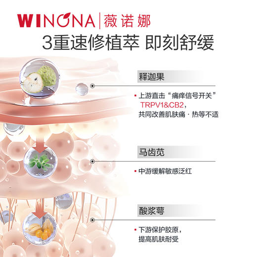 WNQ薇诺娜 | 舒缓速修胶原冻干面膜 | 敏感肌舒缓修护保湿 速退干敏红 修护皮肤屏障 重组III型人源胶原 倍护好肌肤 商品图2