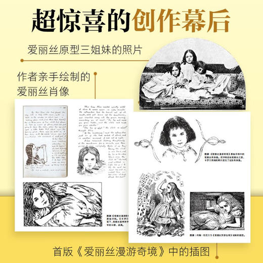 海豚百年经典文库：爱丽丝漫游奇境（精）（8+岁） 商品图3
