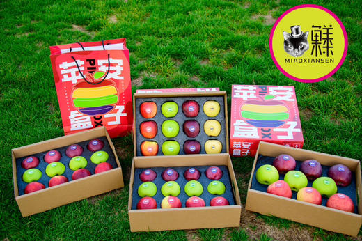 喵菓基地～苹安盒子🍎四色拼装12颗装 商品图0